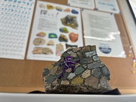 チョキサウルス協会